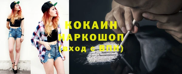 крисы Верея