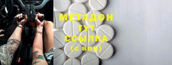 PSILOCYBIN Бородино