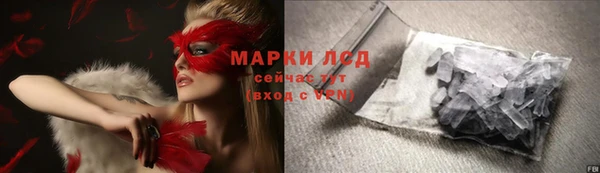 PSILOCYBIN Бородино