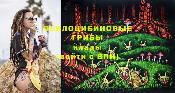 крисы Верея
