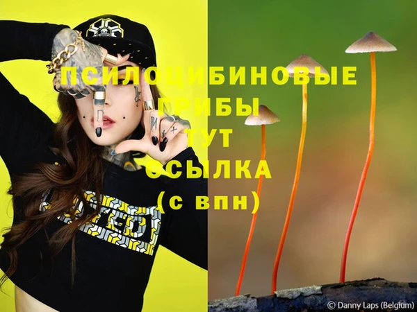 дмт Бронницы