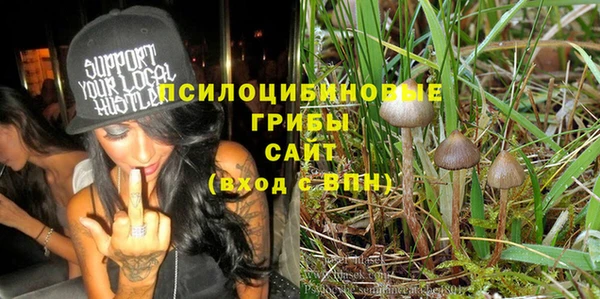 крисы Верея