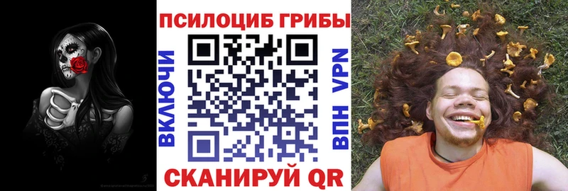 что такое наркотик  hydra как войти  Псилоцибиновые грибы Psilocybine cubensis  Жердевка 